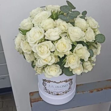 Flower Box White